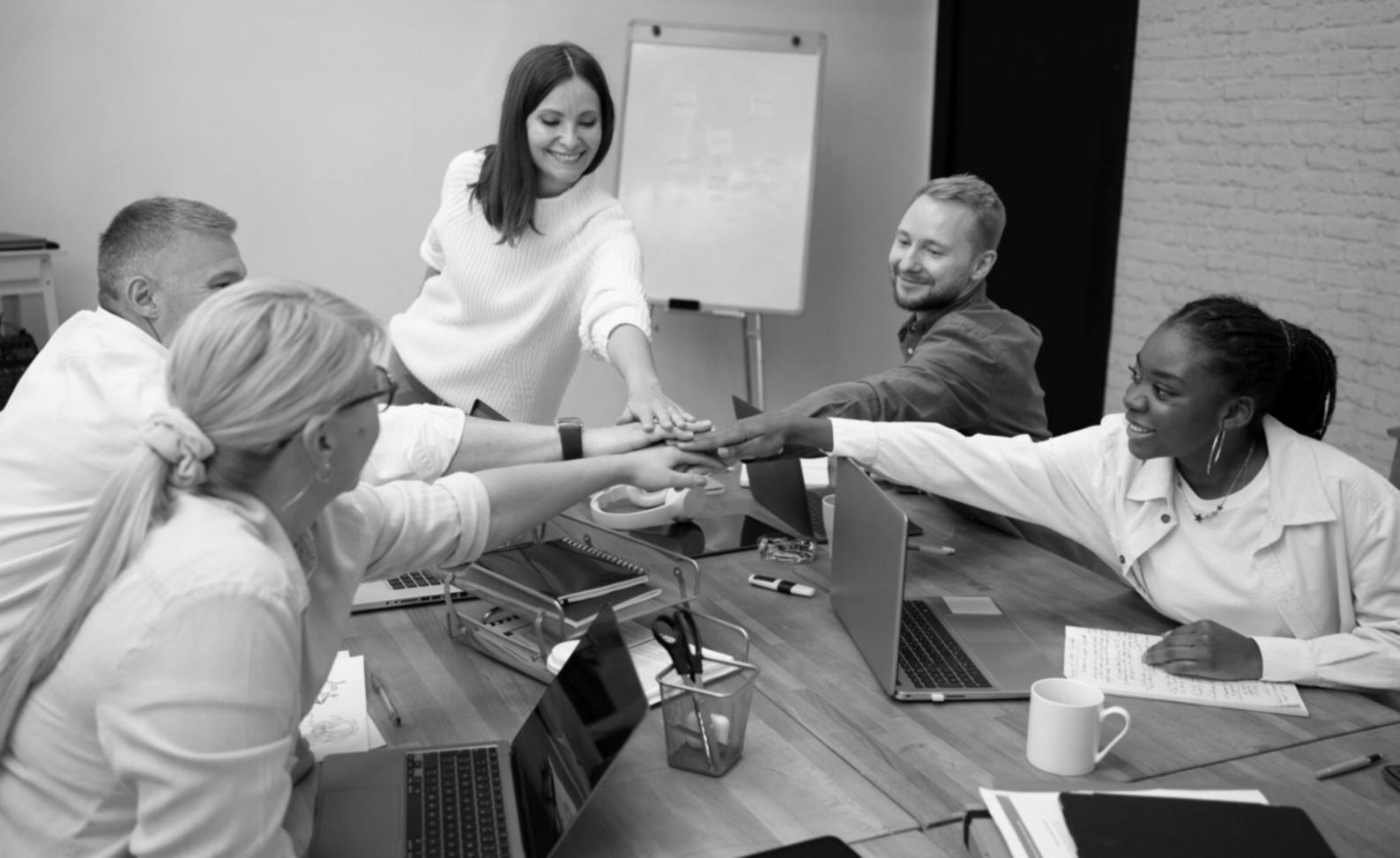 Proyecciones financieras trimestrales